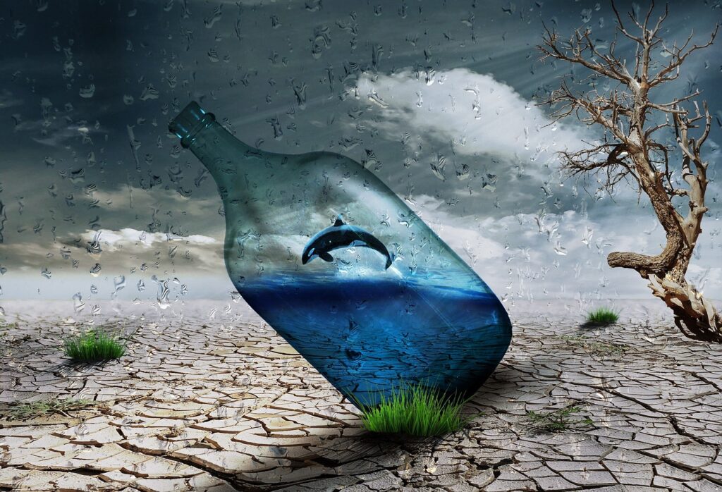 surreale Kunstwüste mit Delphin in einer Flasche