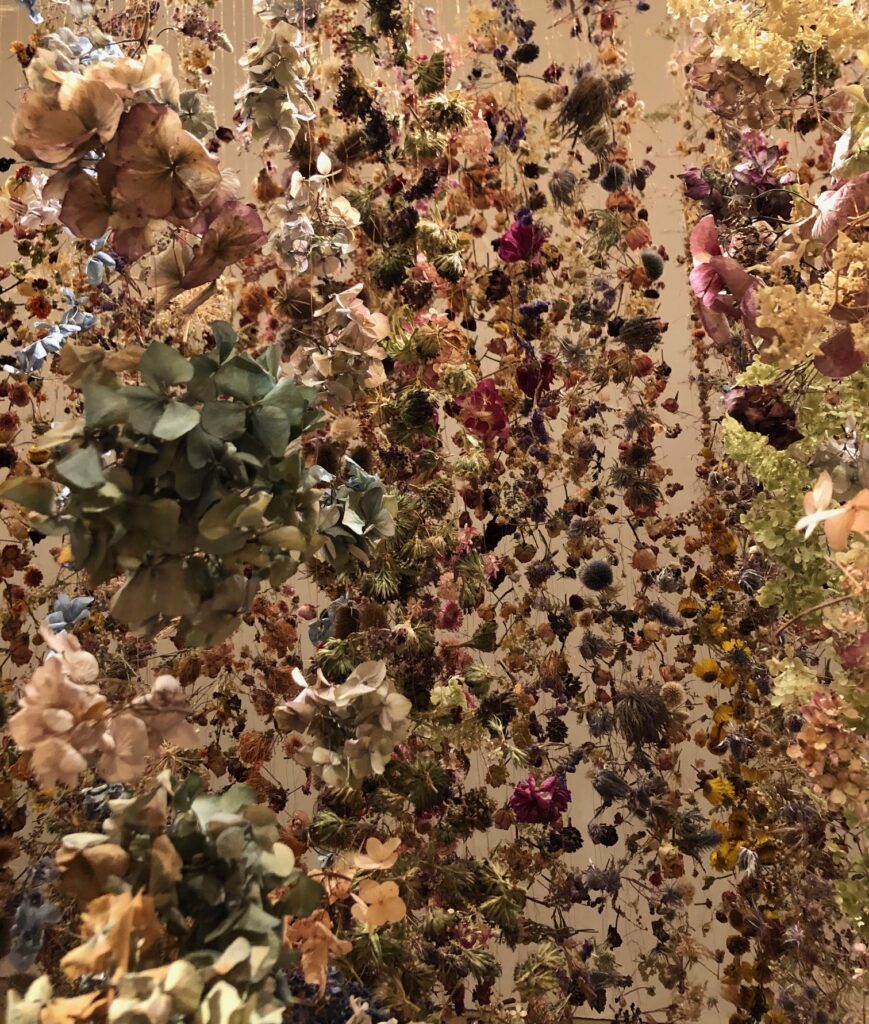 Trockenblumen Ausstellung Kunst