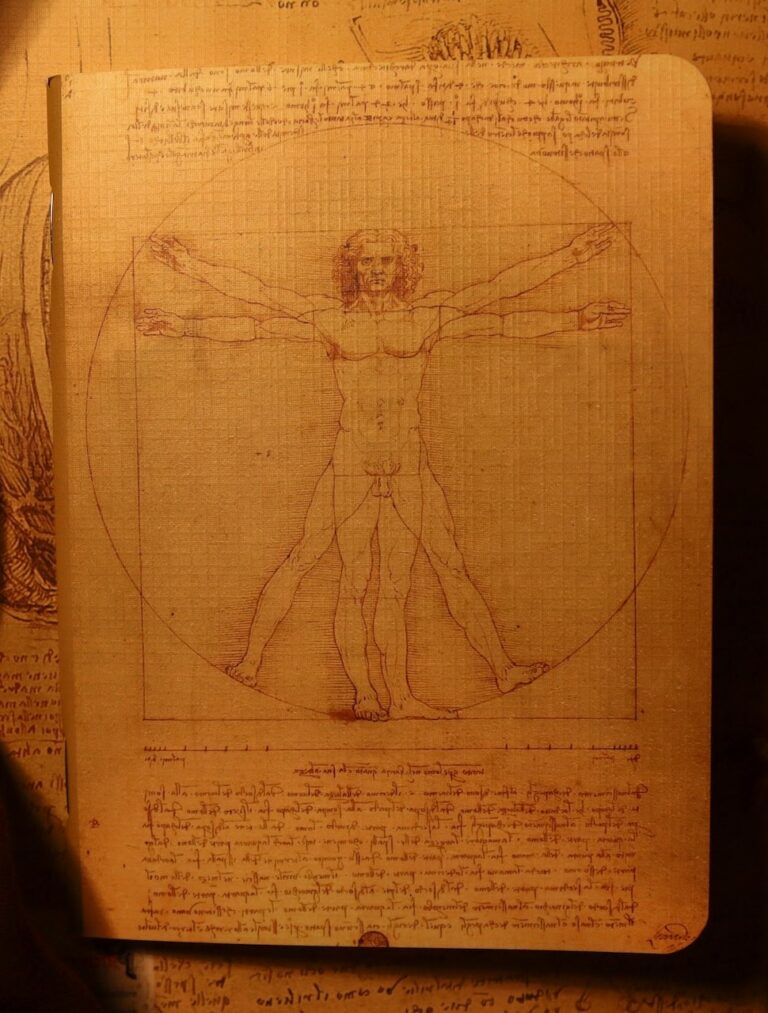 vitruvian man