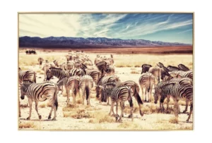 KL03890-zebras-berge-beige-blau-foto-print-fotokunst-kunstfotografie-gerahmte-fotografie-01