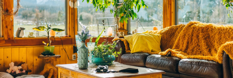 gemuetliches Wohnzimmer image
