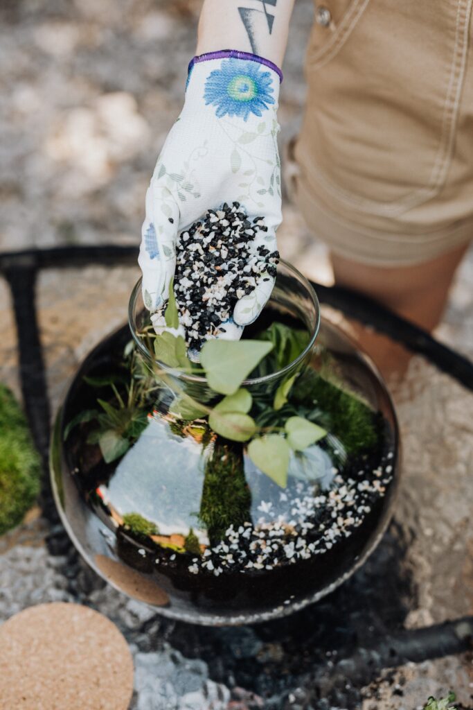 DIY-Miniaturpflanzen-Ideen für drinnen