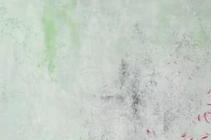 oel gemaelde wandel der zeiten