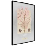 poster-mysterious-tree