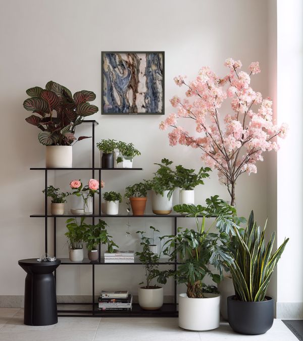 Minimalistischer Raum mit weißer Wand und schwarzem Regal, auf dem eine rosa blühende Pflanze und verschiedene Grünpflanzen für ein sch