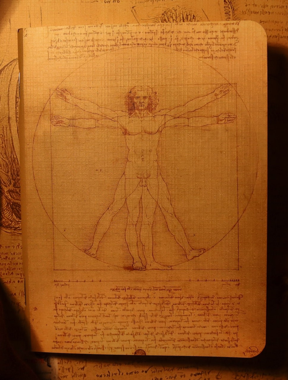 vitruvian man
